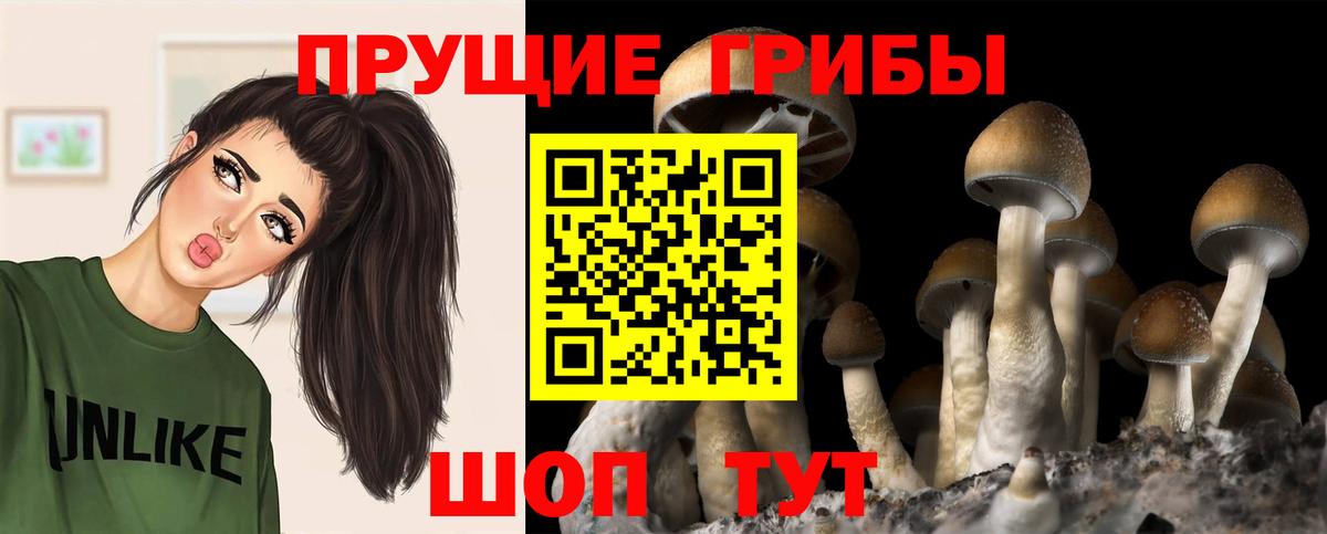 Галлюциногенные грибы Magic Shrooms  Псилоцибиновые грибы Cubensis  Вход с VPN  Аша 