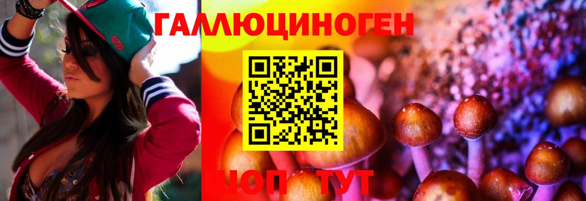 Галлюциногенные грибы Cubensis Аша